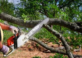 Lawn Drainage Solutions in Saxapahaw, NC